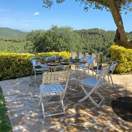 Tres Olivos -